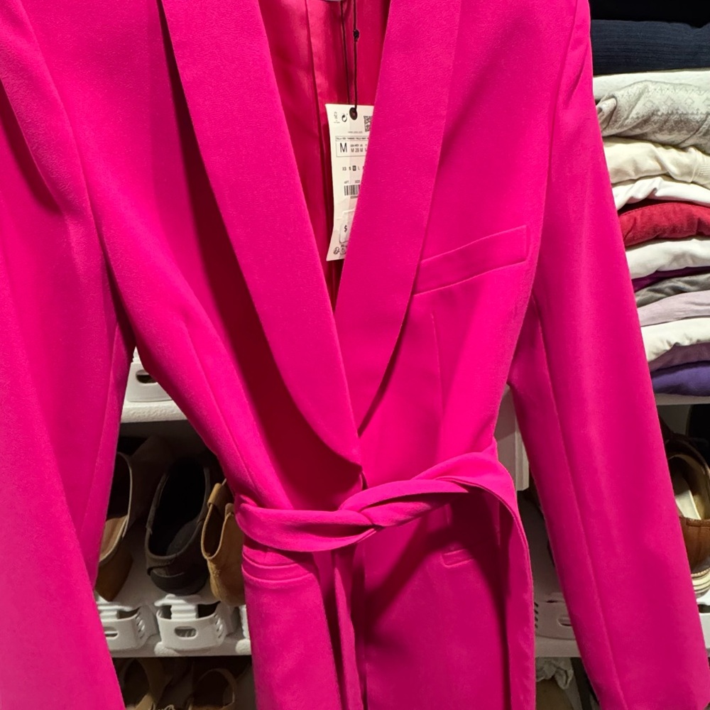 Zara Pink Blazer